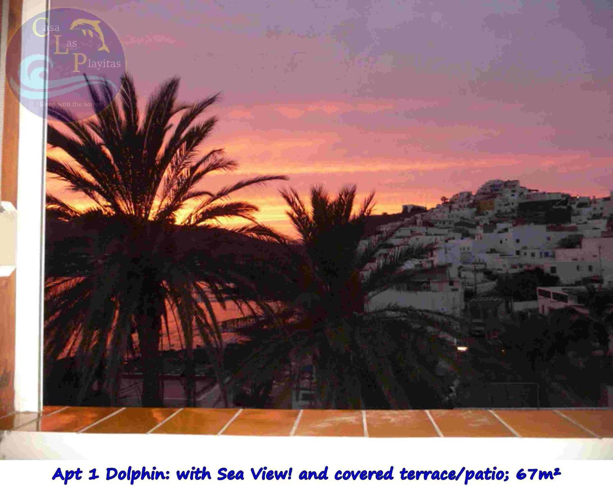Casa Las Playitas -Clp- Best Sea View - In 1 Minute Ocean Las Playas Exterior photo
